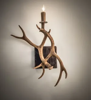 14" Wide Antlers Elk & Mule Deer Wall Sconce