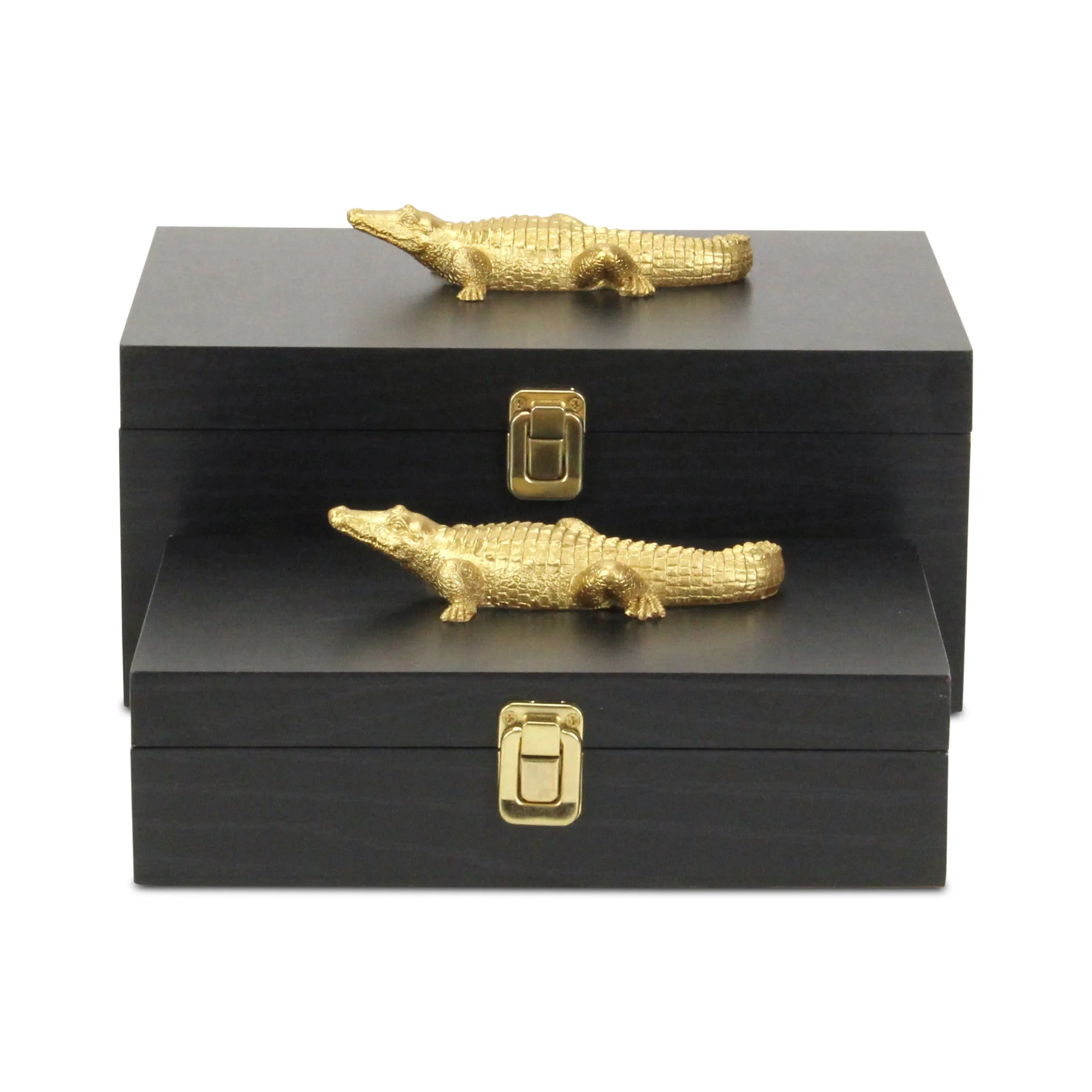 6048-2CRBK - Canorus Alligator Accent Box Set