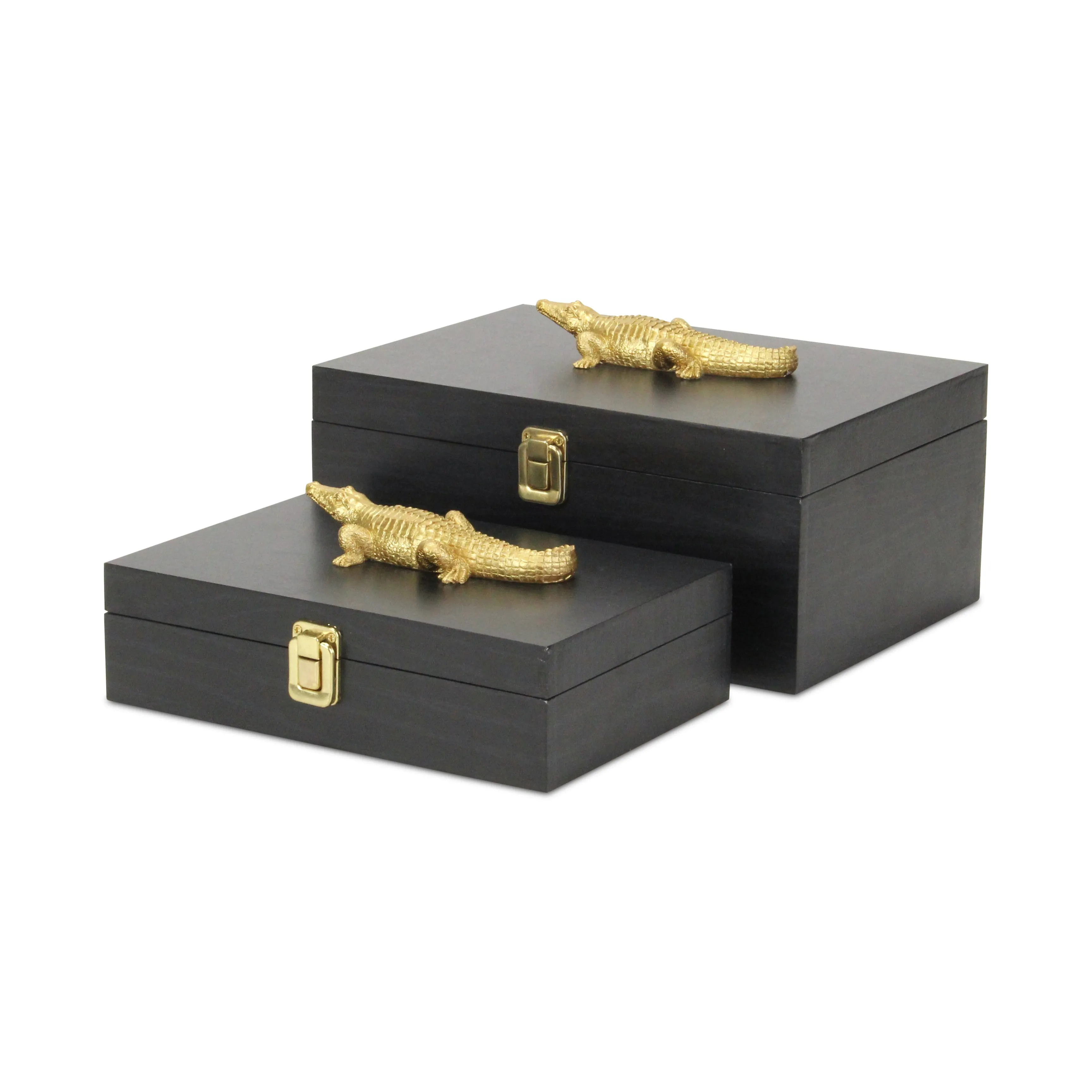 6048-2CRBK - Canorus Alligator Accent Box Set