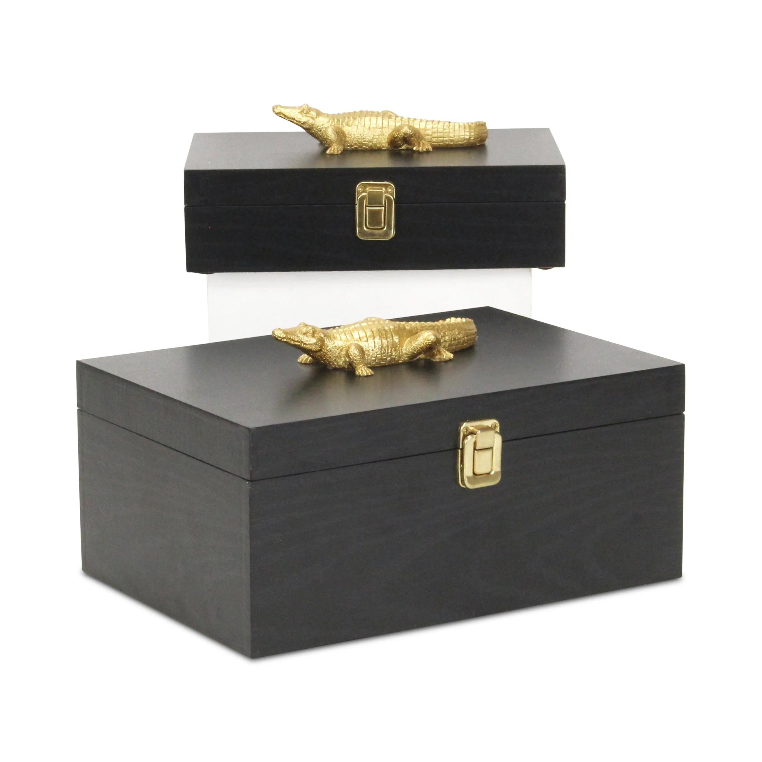 6048-2CRBK - Canorus Alligator Accent Box Set