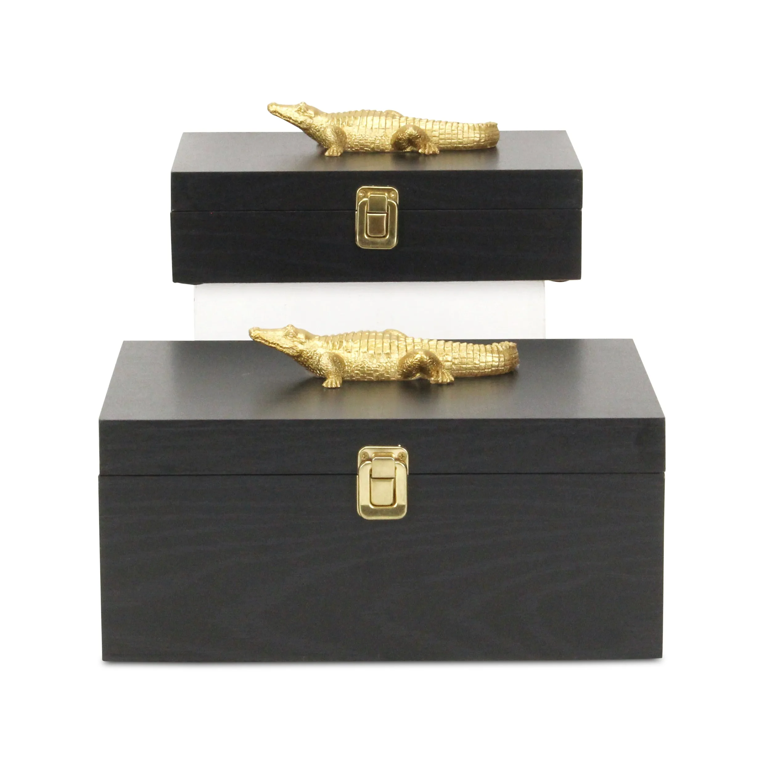 6048-2CRBK - Canorus Alligator Accent Box Set