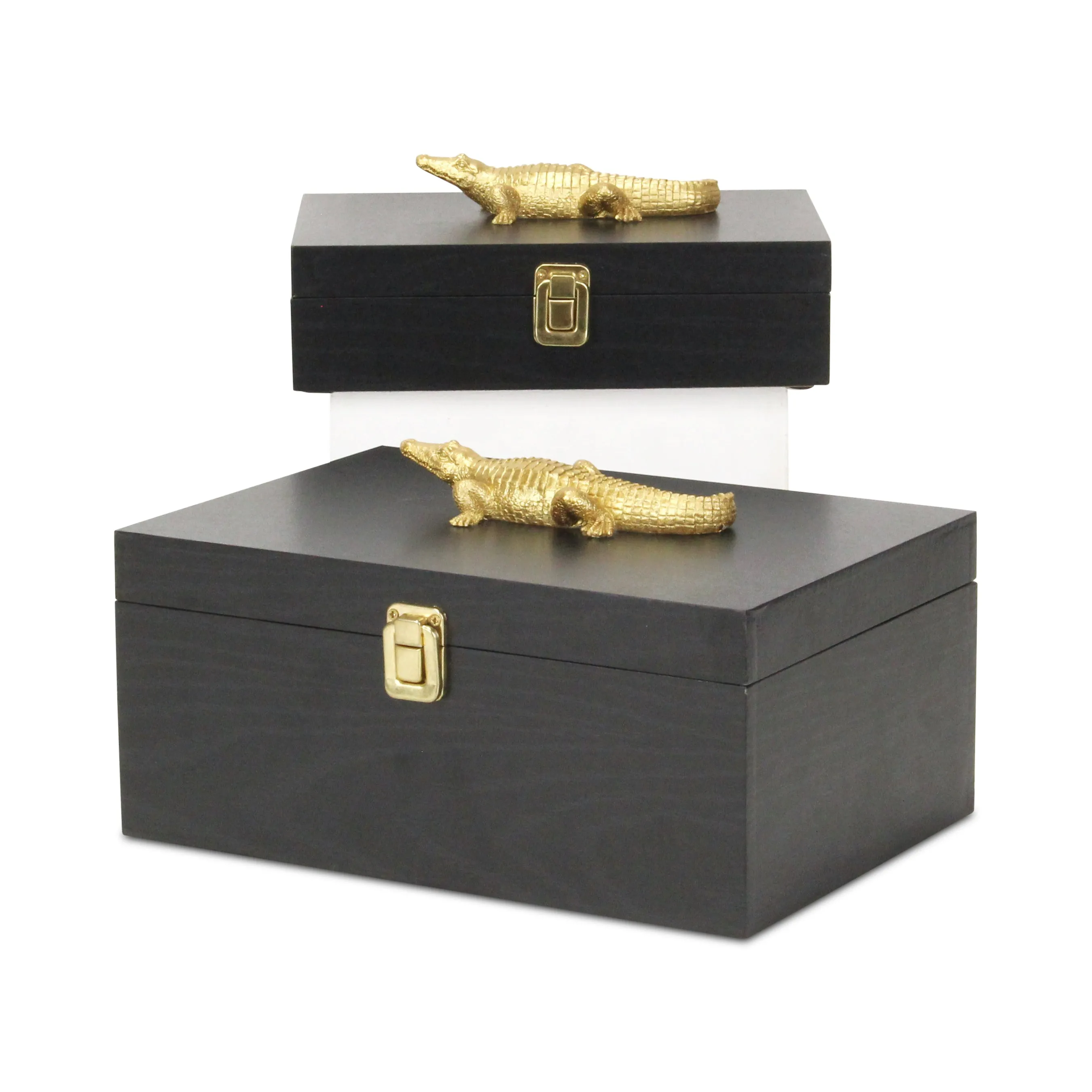 6048-2CRBK - Canorus Alligator Accent Box Set