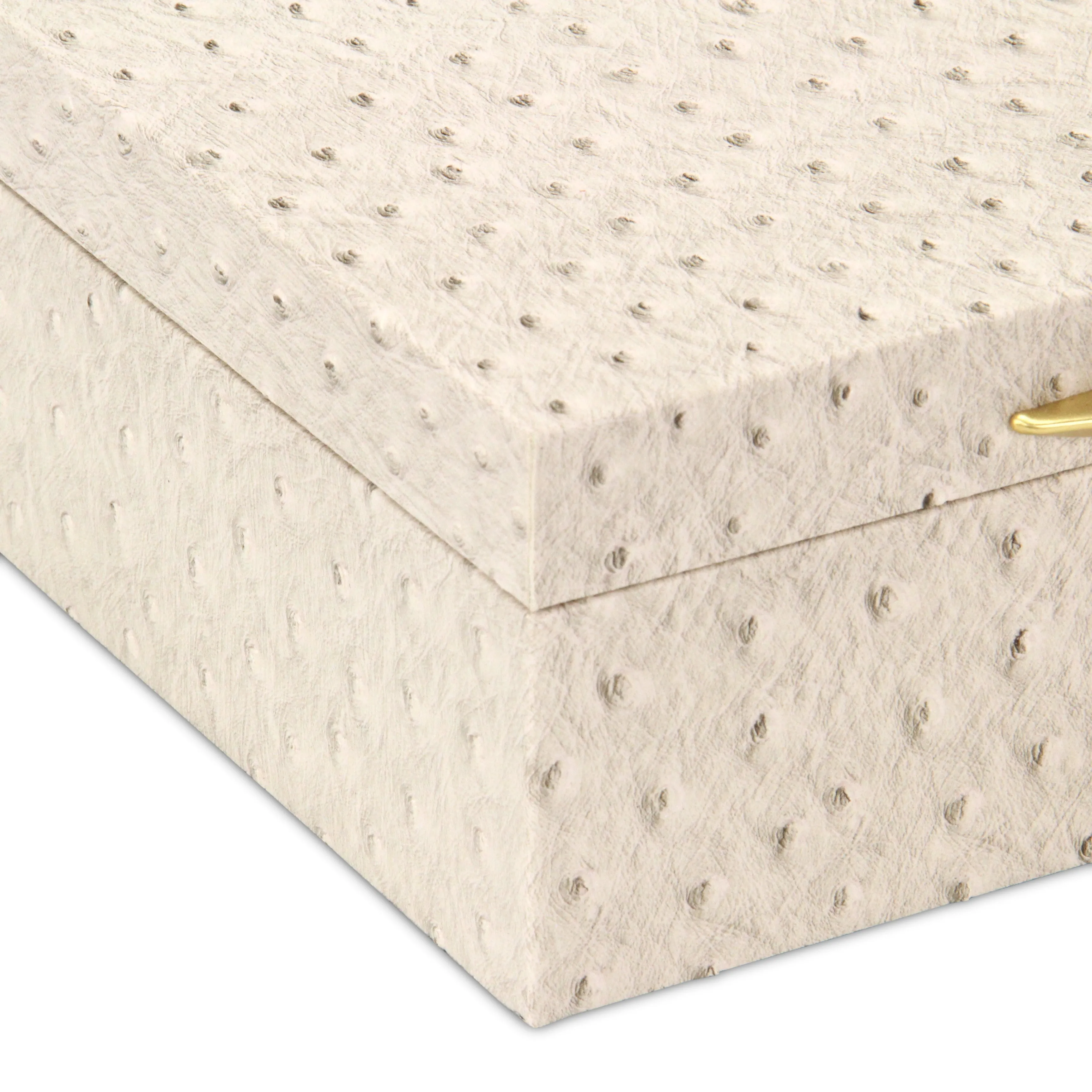 6053-2CROS - Canorus Ostritch Pattern Box Set - Cream