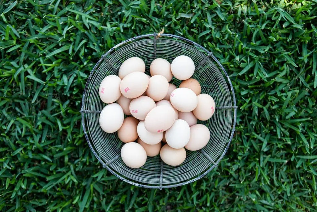 Certified Organic Organigrow Eggs Pasture Raised