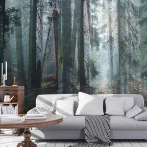 Custom Mural Wallpaper Nature Forest Scenery (㎡)