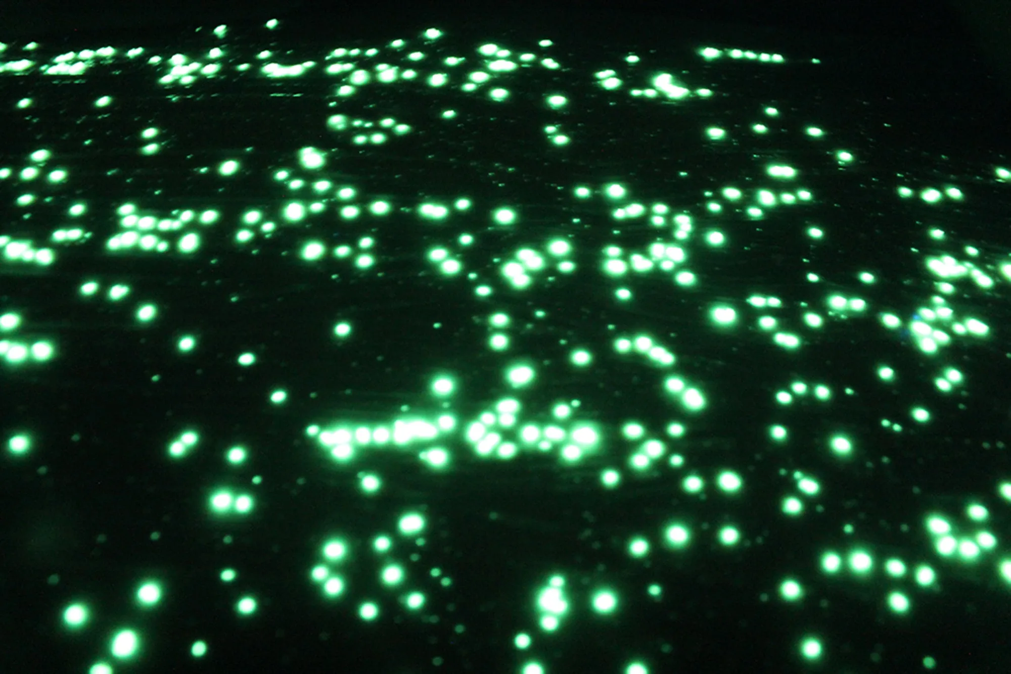 StarMakerFX Extreme Glow in the dark Paint