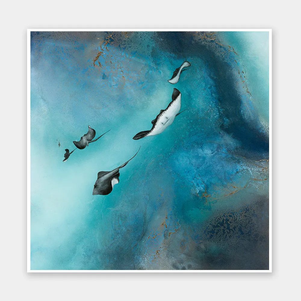 Stingrays Unframed Art Print