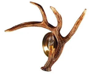 Whitetail Deer Antler Wall Sconce - Right